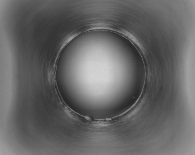 X0000112541145200908241522