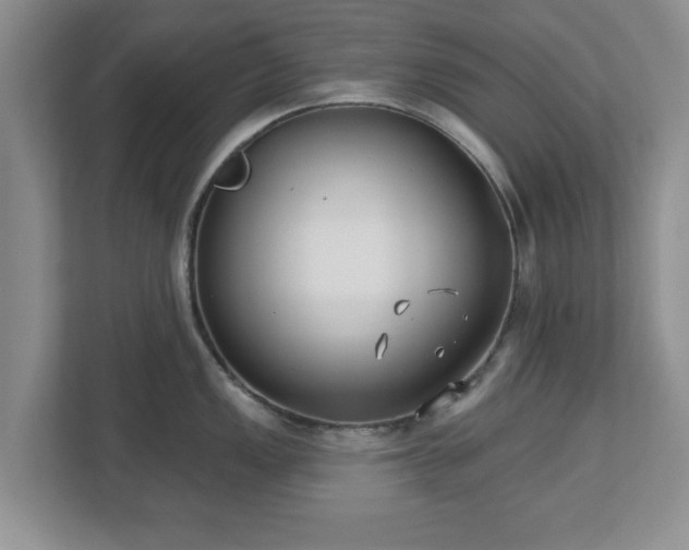 X0000112541149200908241522