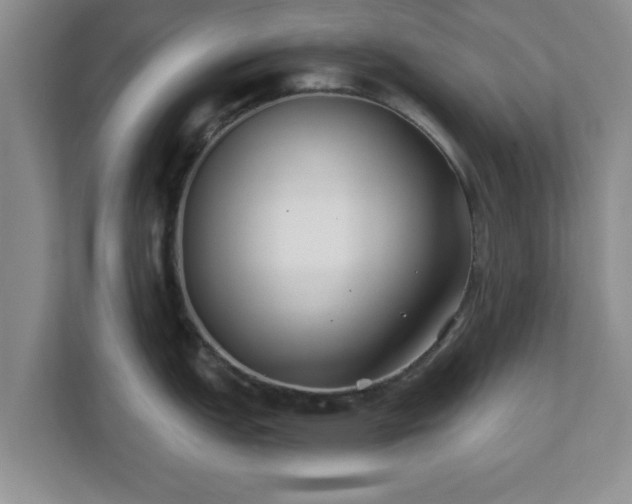 X0000112541151200908241522