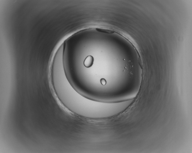 X0000112541152200908241522