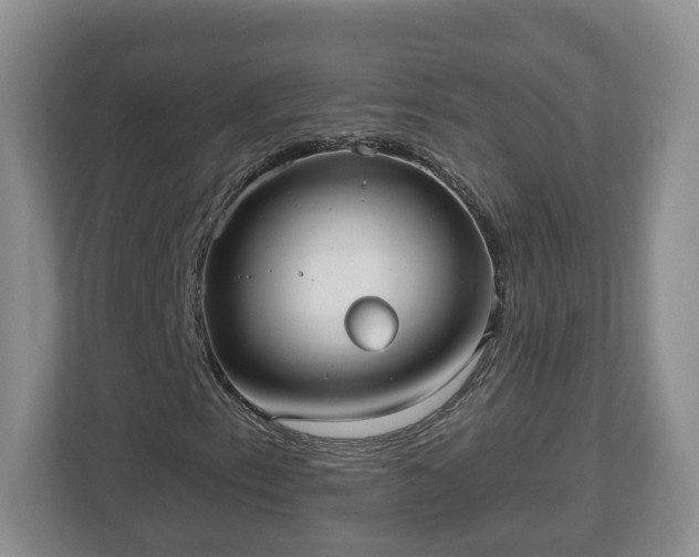 X0000112541153200908241521