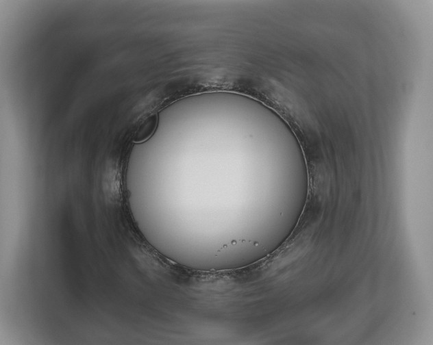 X0000112541154200908241521