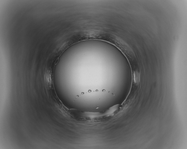 X0000112541155200908241521