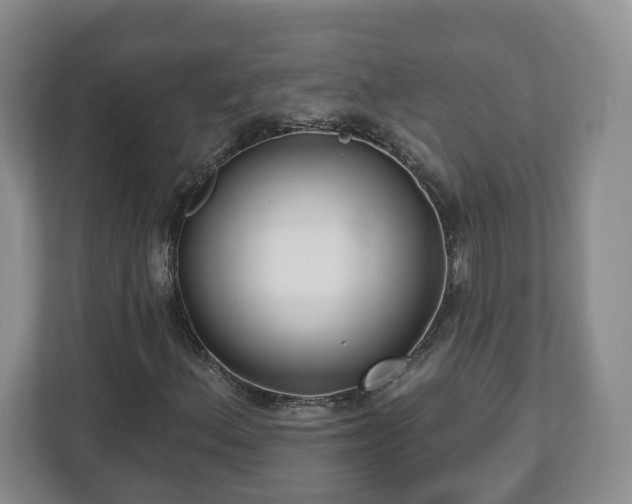 X0000112541156200908241521