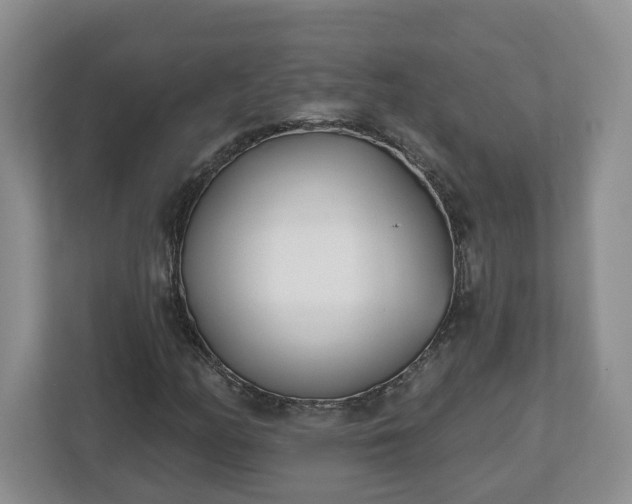 X0000112541158200908241521