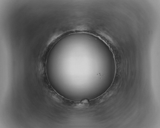 X0000112541160200908241521