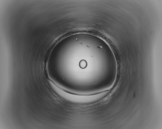 X0000112541161200908241521