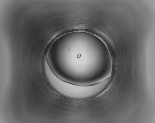 X0000112541162200908241521