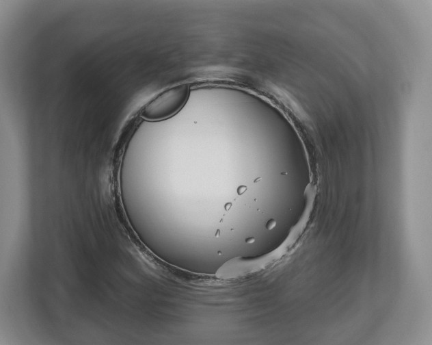 X0000112541164200908241521