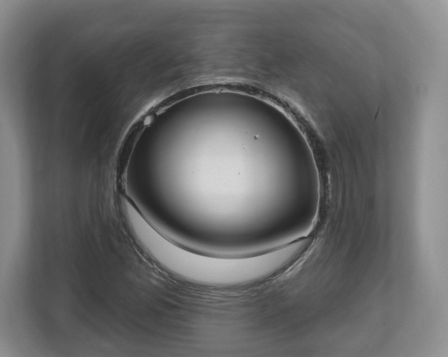 X0000112541165200908241521