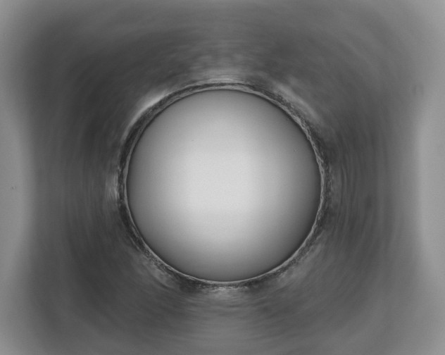 X0000112541166200908241521