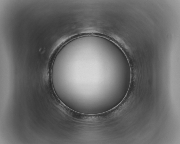 X0000112541167200908241521