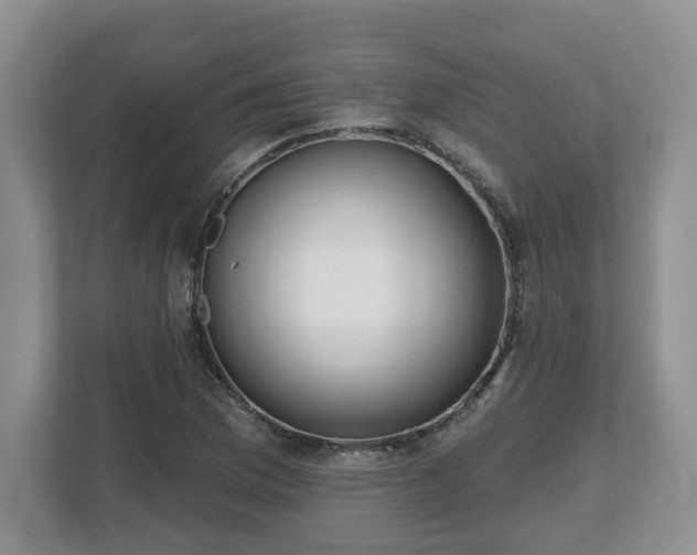 X0000112541169200908241521