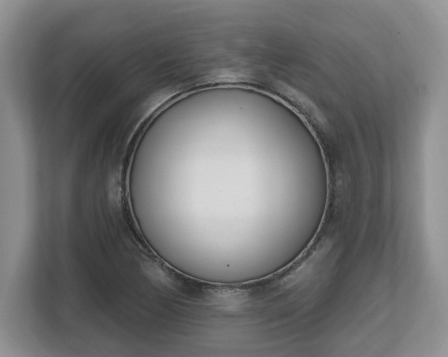 X0000112541170200908241521