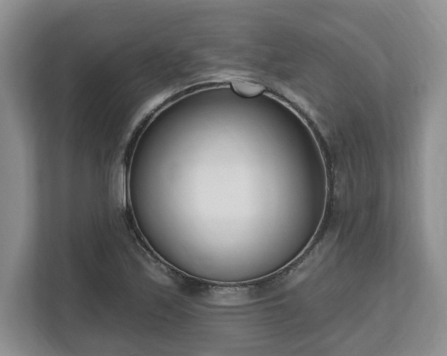 X0000112541171200908241521