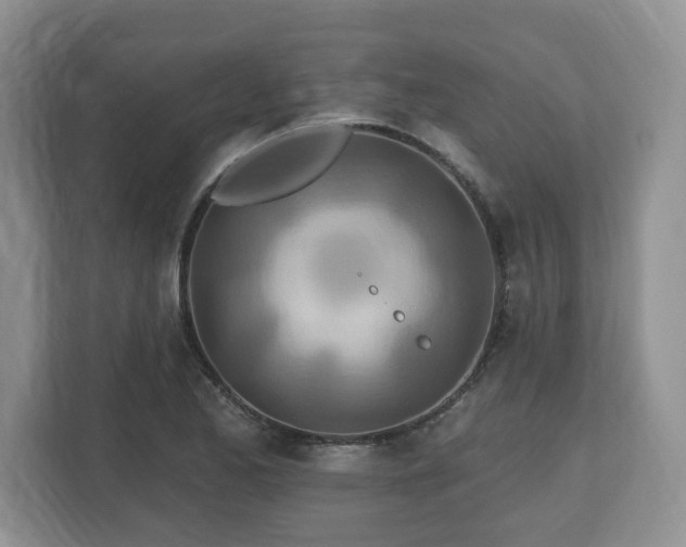 X0000112541173200908241521