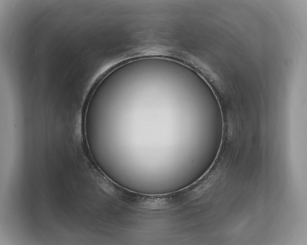 X0000112541174200908241521