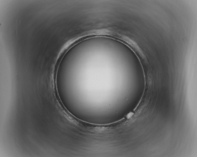 X0000112541176200908241521