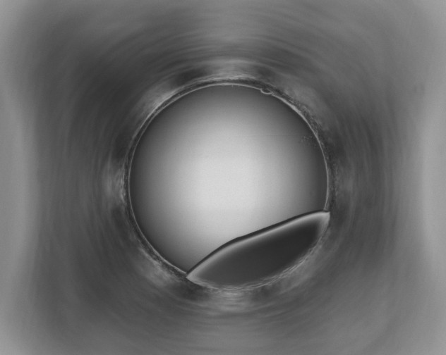 X0000112541177200908241521