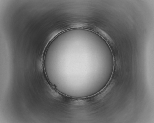 X0000112541178200908241521