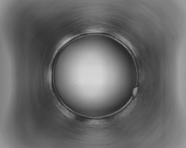 X0000112541179200908241521