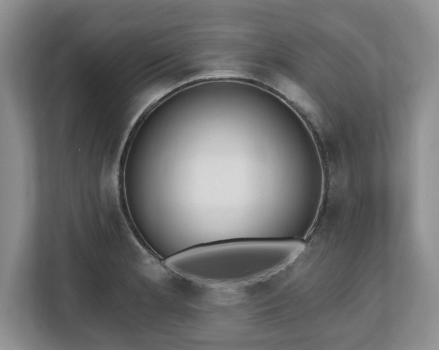 X0000112541181200908241521