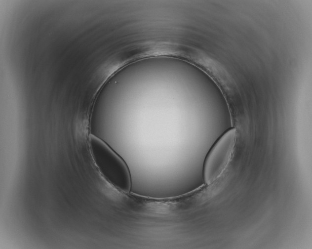 X0000112541185200908241521