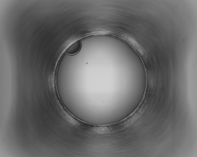 X0000112541186200908241521