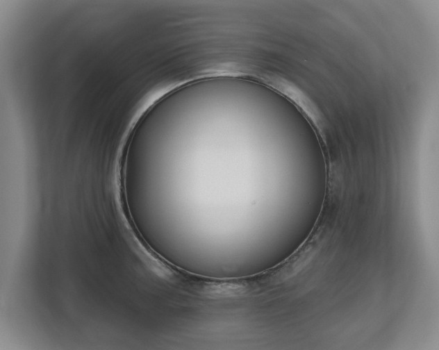 X0000112541187200908241521