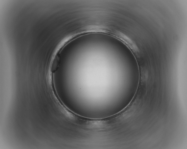 X0000112541188200908241521