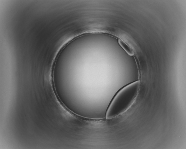 X0000112541189200908241520