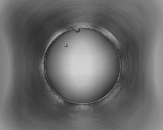 X0000112541190200908241520