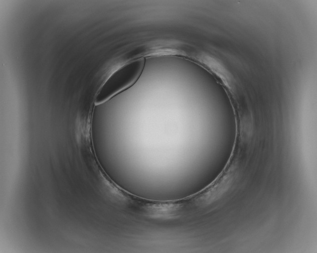 X0000112541193200908241520