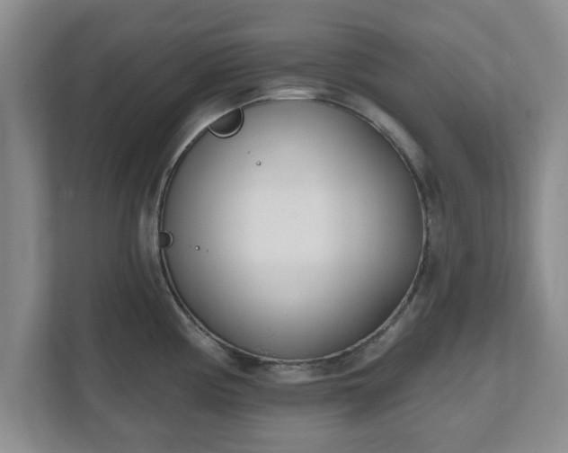 X0000112541194200908241520