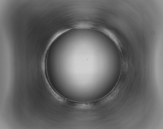 X0000112541195200908241520