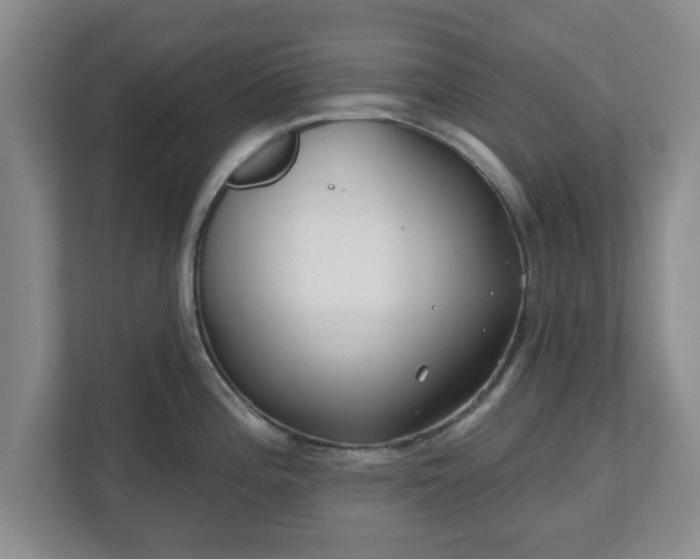 X0000112541196200908241520