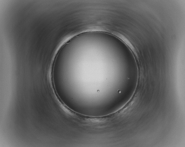 X0000112541197200908241520