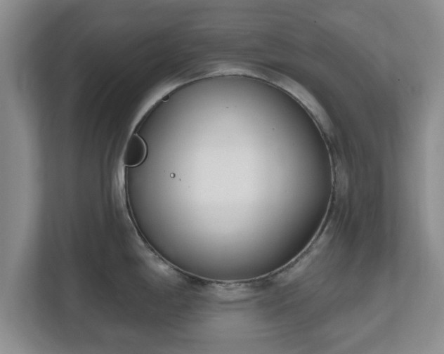 X0000112541198200908241520