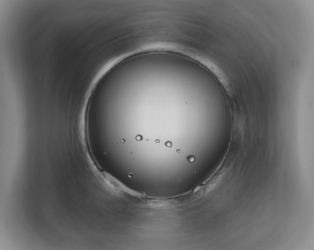 X0000112541199200908241520