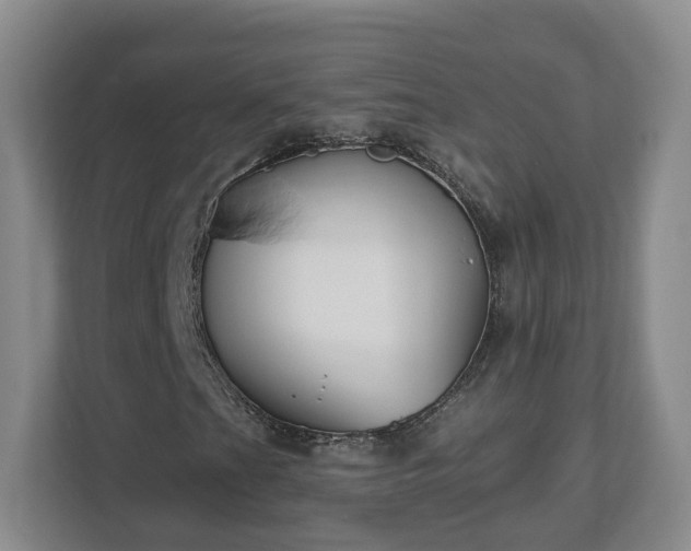 X0000112541201200908241520
