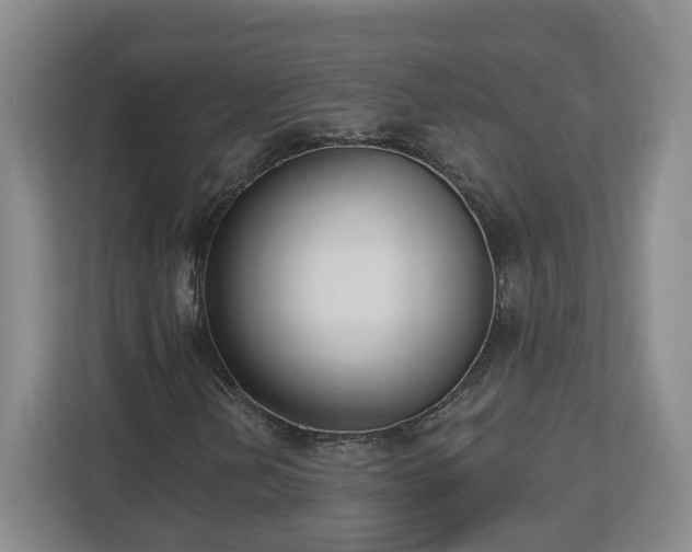 X0000112541202200908241520