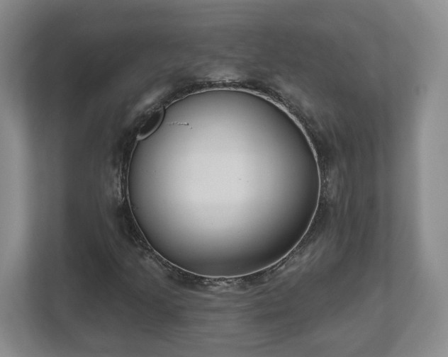 X0000112541205200908241520
