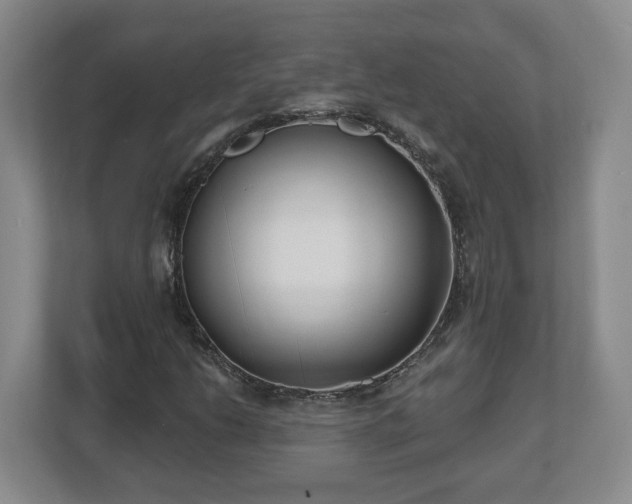 X0000112541206200908241520