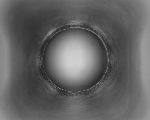 X0000112541208200908241520