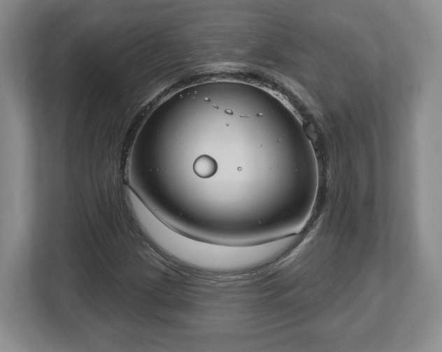 X0000112541209200908241520