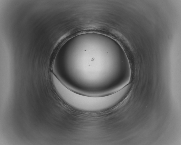 X0000112541210200908241520
