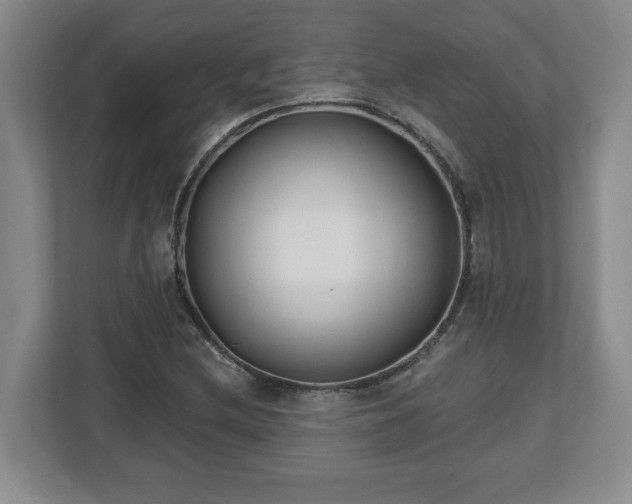X0000112541212200908241520