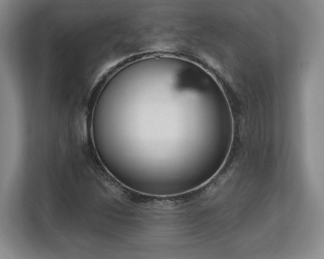 X0000112541214200908241520