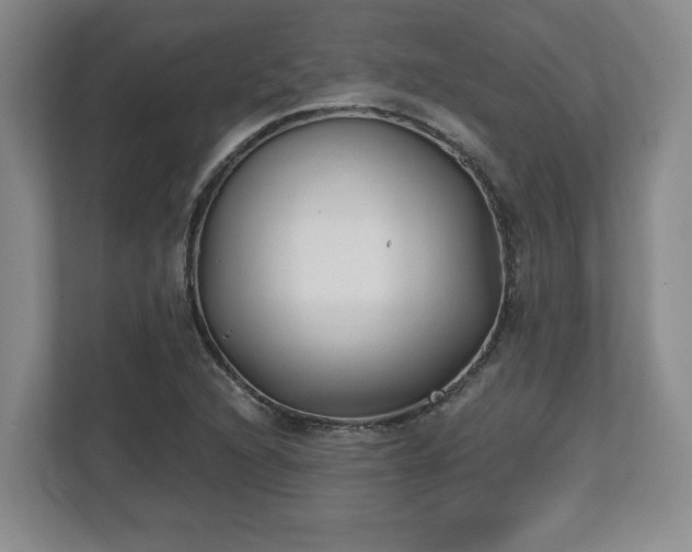 X0000112541216200908241520