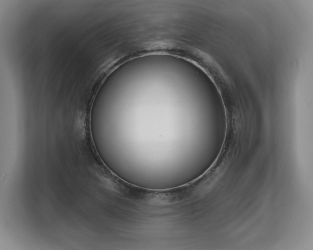 X0000112541217200908241520